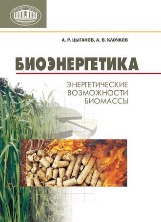 Обложка книги «Биоэнергетика. Энергетические возможности биомассы»