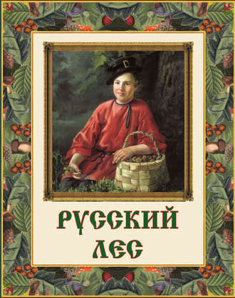 Обложка книги «Русский лес. Грибы и ягоды»