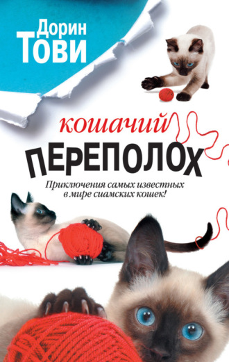 Обложка книги «Кошачий переполох (сборник)»