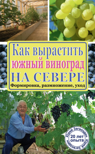 Обложка книги «Как вырастить южный виноград на севере»