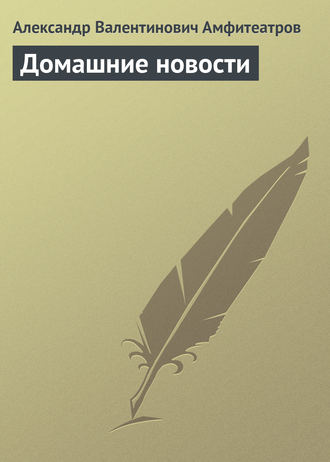 Обложка книги «Домашние новости»