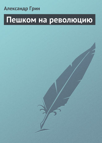 Обложка книги «Пешком на революцию»
