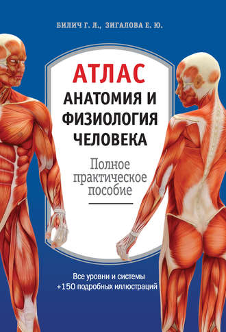 Обложка книги «Атлас: анатомия и физиология человека. Полное практическое пособие»