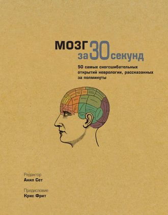 Обложка книги «Мозг за 30 секунд»