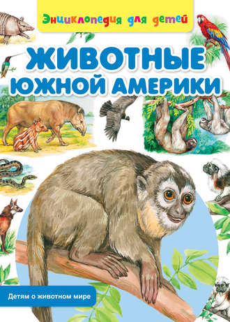 Обложка книги «Животные Южной Америки»