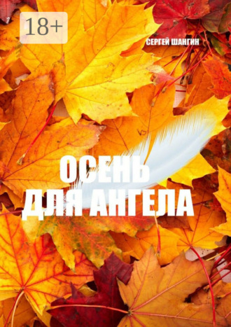 Обложка книги «Осень для ангела. Городское фэнтези»