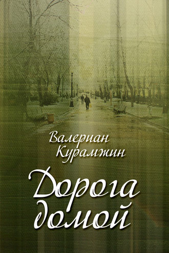 Обложка книги «Дорога домой (сборник)»