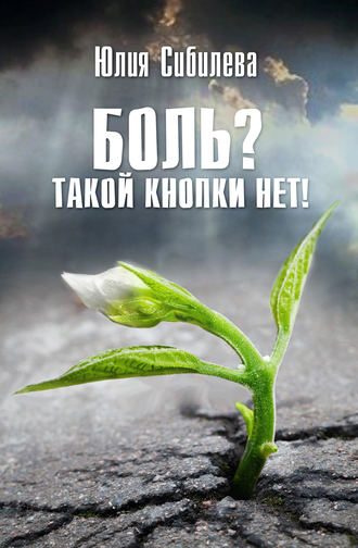 Обложка книги «Боль? Такой кнопки нет!»