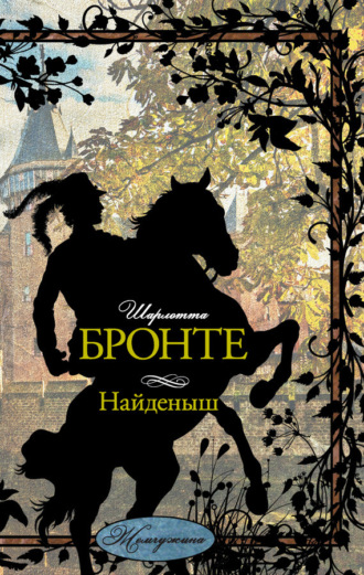 Обложка книги «Найденыш»