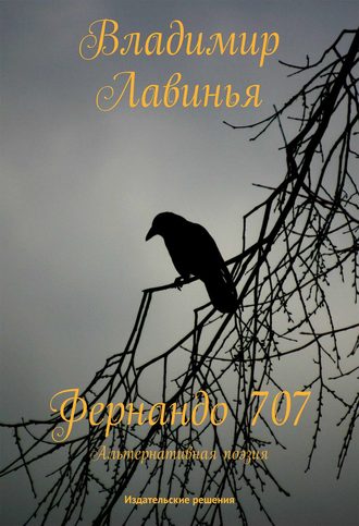 Обложка книги «Фернандо 707»