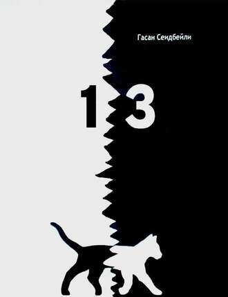 Обложка книги «13 (сборник)»
