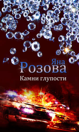 Обложка книги «Камни глупости»