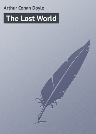 Обложка книги «The Lost World»