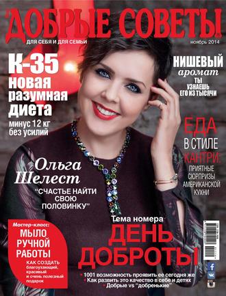 Обложка книги «Добрые советы №11/2014»