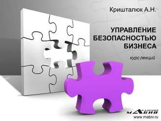 Обложка книги «Управление безопасностью бизнеса»