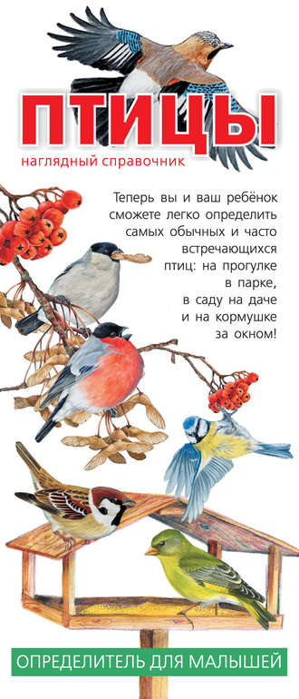 Обложка книги «Птицы. Наглядный справочник. Определитель для малышей»