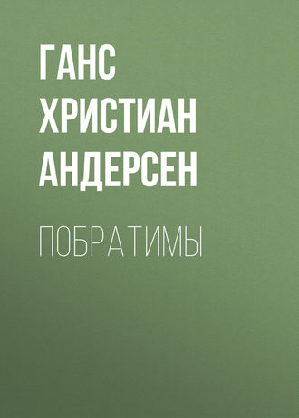 Обложка книги «Побратимы»