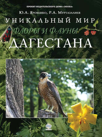 Обложка книги «Уникальный мир флоры и фауны Дагестана»