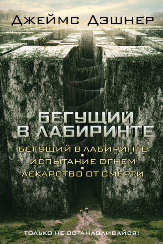 Обложка книги «Бегущий в Лабиринте (сборник)»