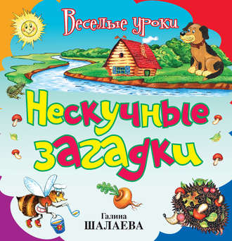 Обложка книги «Нескучные загадки»