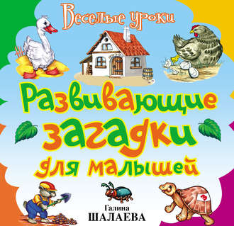 Обложка книги «Развивающие загадки для малышей»