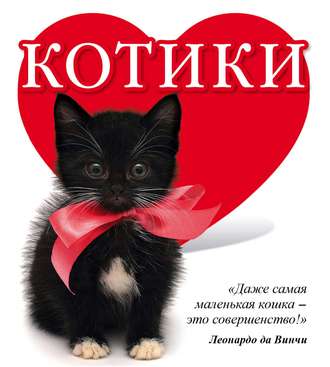Обложка книги «Котики»