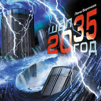 Обложка книги «Шёл 2035 год»