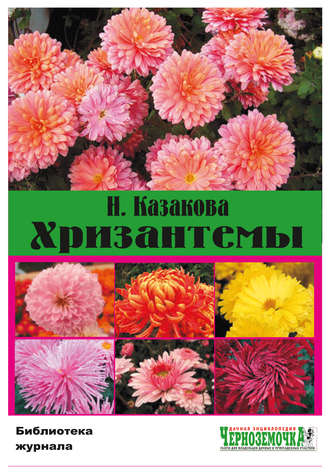 Обложка книги «Хризантемы»