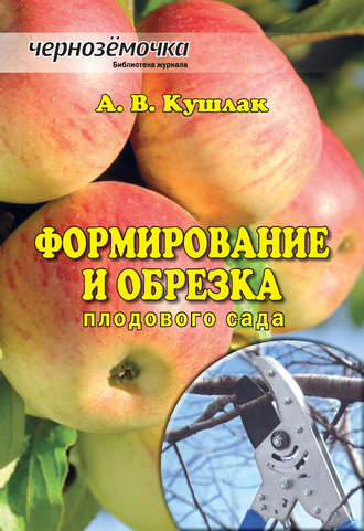 Обложка книги «Формирование и обрезка плодового сада»