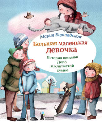 Обложка книги «Дело о клетчатой сумке»