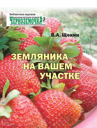 Обложка книги «Земляника на вашем участке»