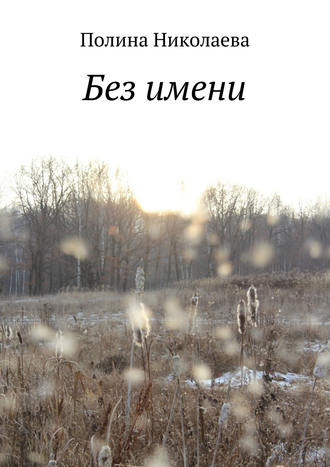 Обложка книги «Без имени»