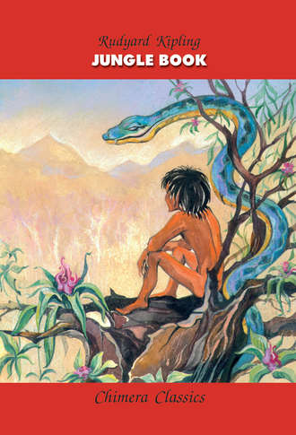 Обложка книги «Jungle Book / Книга джунглей»