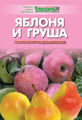 Обложка книги «Яблоня и груша. Технология выращивания»