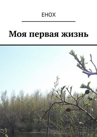 Обложка книги «Моя первая жизнь»