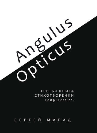 Обложка книги «Angulus / Opticus. Третья книга стихотворений. 2009–2011 гг.»