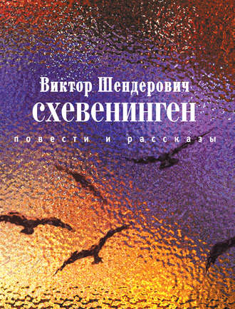 Виктор Шендерович. Схевенинген (сборник)