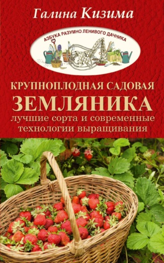Обложка книги «Крупноплодная садовая земляника. Лучшие сорта и современные технологии выращивания»