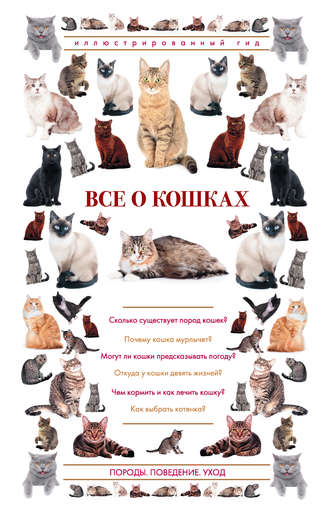 Обложка книги «Все о кошках. Иллюстрированный гид»