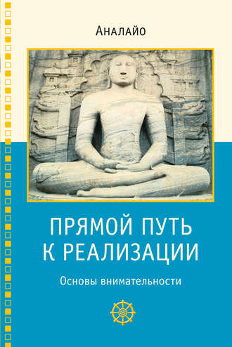 Обложка книги «Прямой путь к реализации. Основы внимательности»