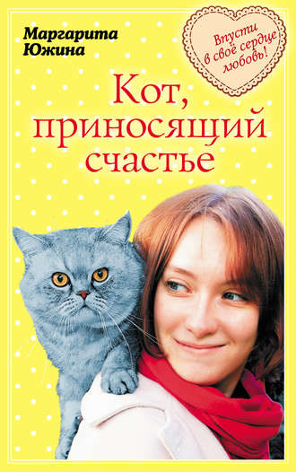 Обложка книги «Кот, приносящий счастье»