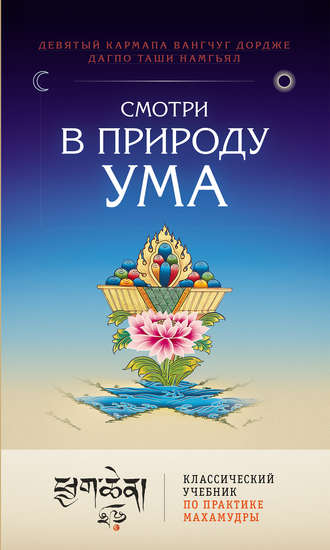 Обложка книги «Смотри в природу ума. Классический учебник по практике Махамудры»