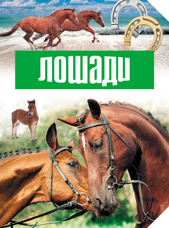 Обложка книги «Лошади»