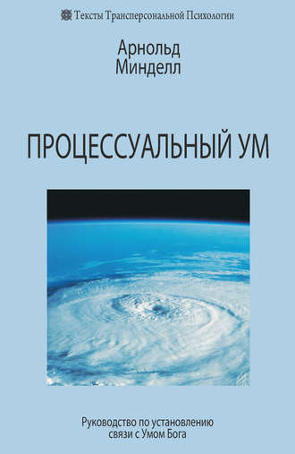 Арнольд Минделл. Процессуальный ум. Руководство по установлению связи с Умом Бога