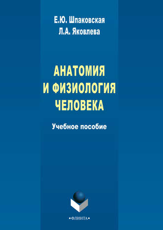 Л. А. Яковлева. Анатомия и физиология человека