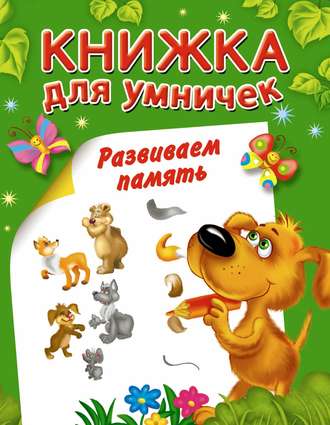 Обложка книги «Развиваем память»