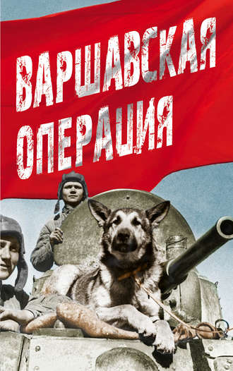 Обложка книги «Варшавская операция»