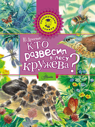 Обложка книги «Кто развесил в лесу кружева?»