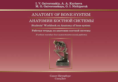 Anatomy of Bone System. Students' Workbook on Anatomy of bone system / Анатомия костной системы. Рабочая тетрадь по анатомии костной системы. Учебное пособие для самостоятельной работы
