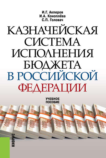 Казначейская система исполнения бюджета в Российской Федерации